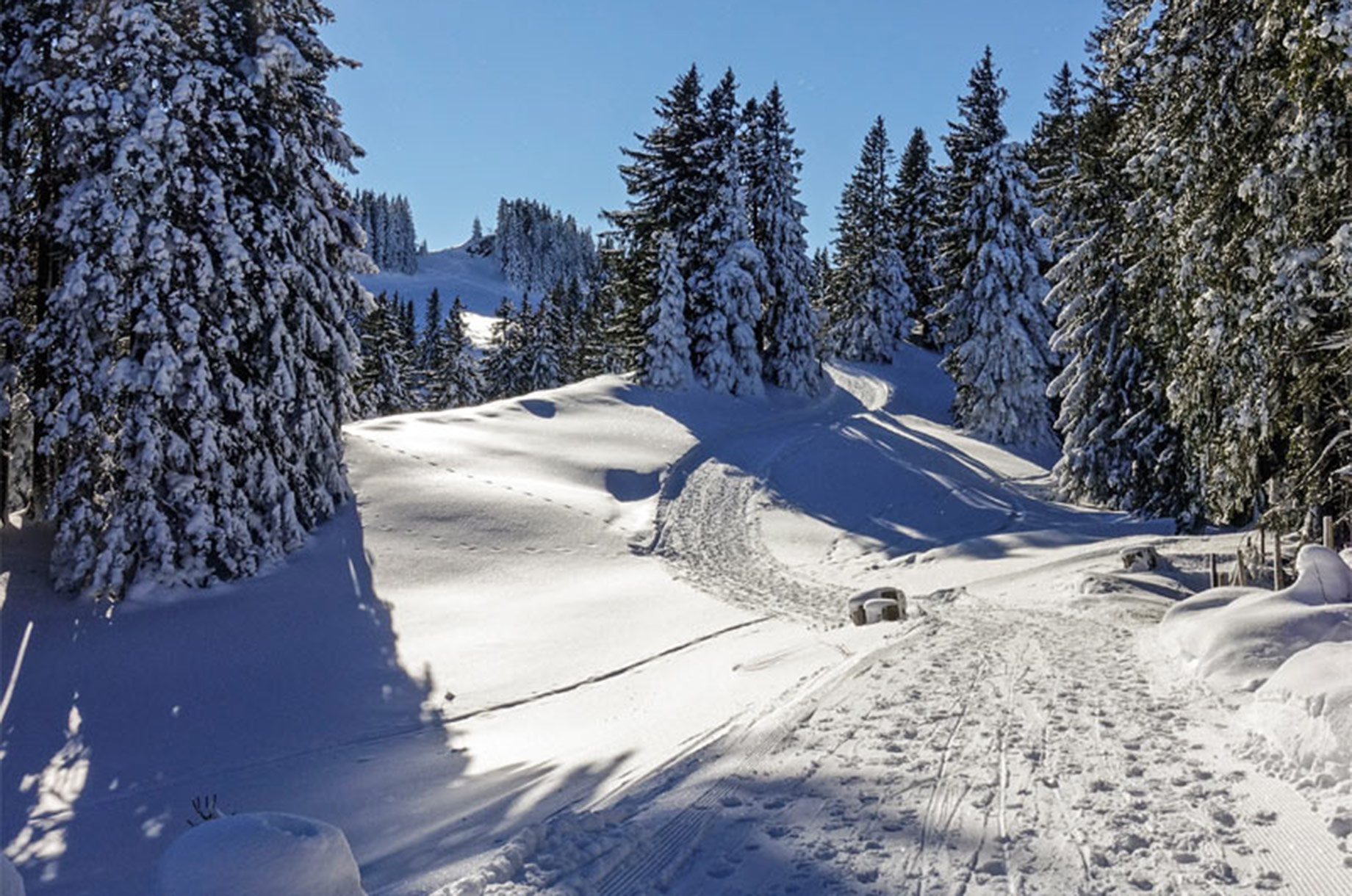 Hotels und Ferienwohnungen im Oberallgäu - Rasthaus am Mittag über Immenstadt im Allgäu - Rasthaus am Mittag über Immenstadt im Allgäu