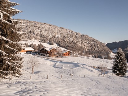 Hotels und Ferienwohnungen im Oberallgäu - PLZ 87561 (Deutschland) - Die Alpe Dornach im Winter - Alpe Dornach | Allgäuer Alpinküche