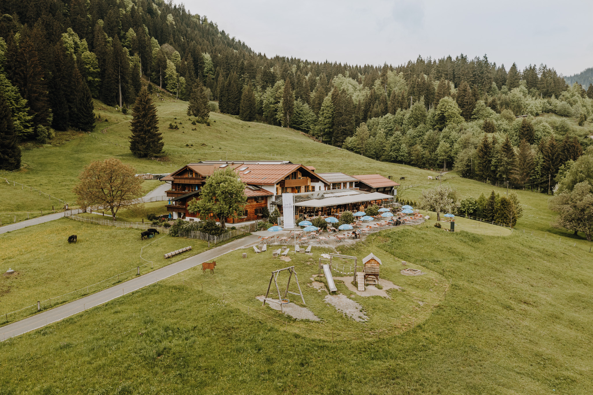 Hotels und Ferienwohnungen im Oberallgäu - Alpe Dornach - 1.000 Meter ü.d. Meer - Alpe Dornach | Allgäuer Alpinküche