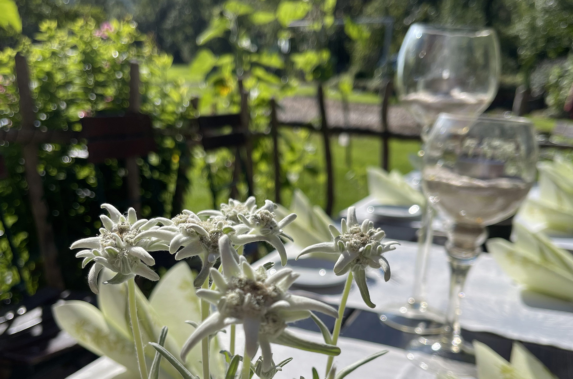 Unterkunft im Allgäu - Restaurant im Hotel Wiesengrund in Bad Hindelang - Restaurant im Hotel Wiesengrund in Bad Hindelang