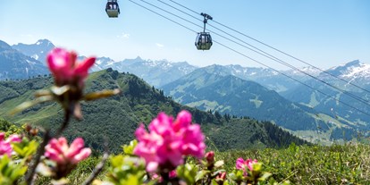 Hotels und Ferienwohnungen im Oberallgäu - Kategorien: Wanderweg - Kanzelwandbahn in Riezlern im Kleinwalsertal - Die Kanzelwandbahn - grenzenloses Wander- und Bergerlebnis
