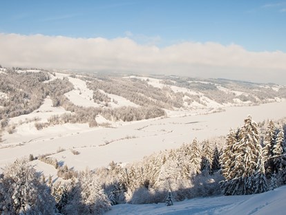 Hotels und Ferienwohnungen im Oberallgäu - Saison: ganzjährig - Oberallgäu - Alpsee Bergwelt mit Alpsee Coaster im Winter - Alpsee Bergwelt mit Alpsee Coaster im Winter