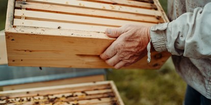 Hotels und Ferienwohnungen im Oberallgäu - Deutschland - Der Bienenkorb - Schauimkerei mit Bienenerlebnispfad - Der Bienenkorb - Schauimkerei, Bienenerlebnispfad mit Führungen