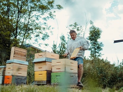 Hotels und Ferienwohnungen im Oberallgäu - Saison: ganzjährig - Oberallgäu - Der Bienenkorb - Schauimkerei mit Bienenerlebnispfad - Der Bienenkorb - Schauimkerei, Bienenerlebnispfad mit Führungen