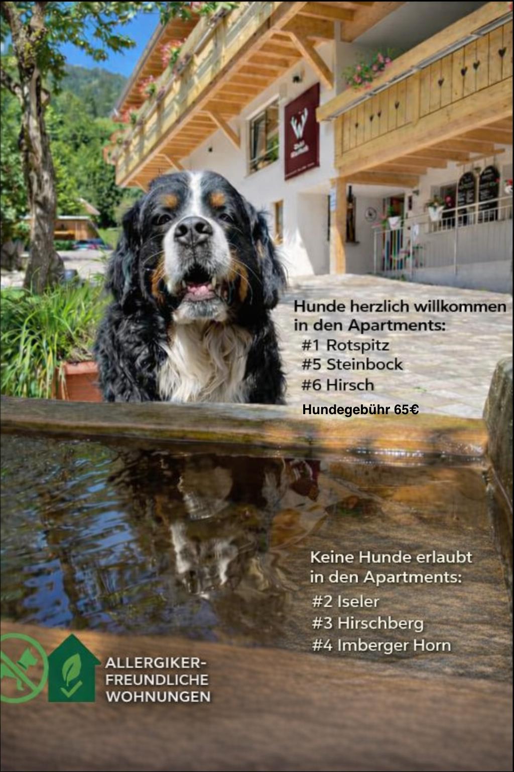 Hotels und Ferienwohnungen im Oberallgäu - Bad Hindelang Bad Hindelang - Ort - Hunde willkommen:Apartments Hirsch,Rotspitz&Steinbock Hundegebühr 65€ pro Aufenthalt. - Chalet Hirschbach - Bad Hindelang im Allgäu