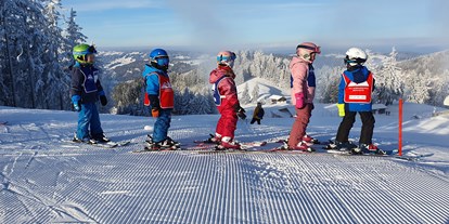 Hotels und Ferienwohnungen im Oberallgäu - Kategorien: Ski- und Schneesportschule - Oberallgäu - Ski- und Snowboardschule Oberstaufen im Allgäu - Ski- und Snowboardschule Oberstaufen im Allgäu