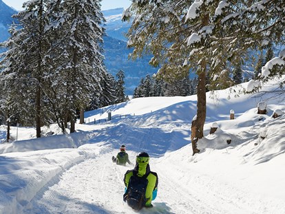 Hotels und Ferienwohnungen im Oberallgäu - Saison: Winter - Oberallgäu - Winterrodeln von der Seealpe am Nebelhorn - Winterrodeln von der Seealpe am Nebelhorn