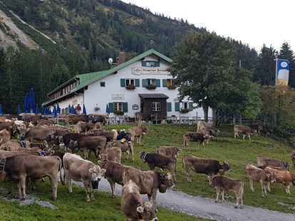 Hotels und Ferienwohnungen im Oberallgäu - PLZ 87561 (Deutschland) - Berggasthof Seealpe auf 1.280 Metern über Oberstdorf - Berggasthof Seealpe auf 1.280 Metern über Oberstdorf