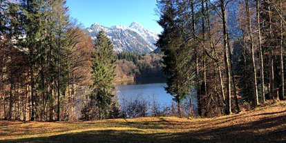 Hotels und Ferienwohnungen im Oberallgäu - Kategorien: Wanderparadies - Naturfreibad Freibergsee bei Oberstdorf - Naturfreibad Freibergsee mit Bootsverleih bei Oberstdorf