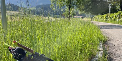 Hotels und Ferienwohnungen im Oberallgäu - Wetter: bei jedem Wetter - Allgäu - Dein Wanderguide - geführte Wanderungen im Allgäu - Dein Wanderguide - geführte Wanderungen im Allgäu
