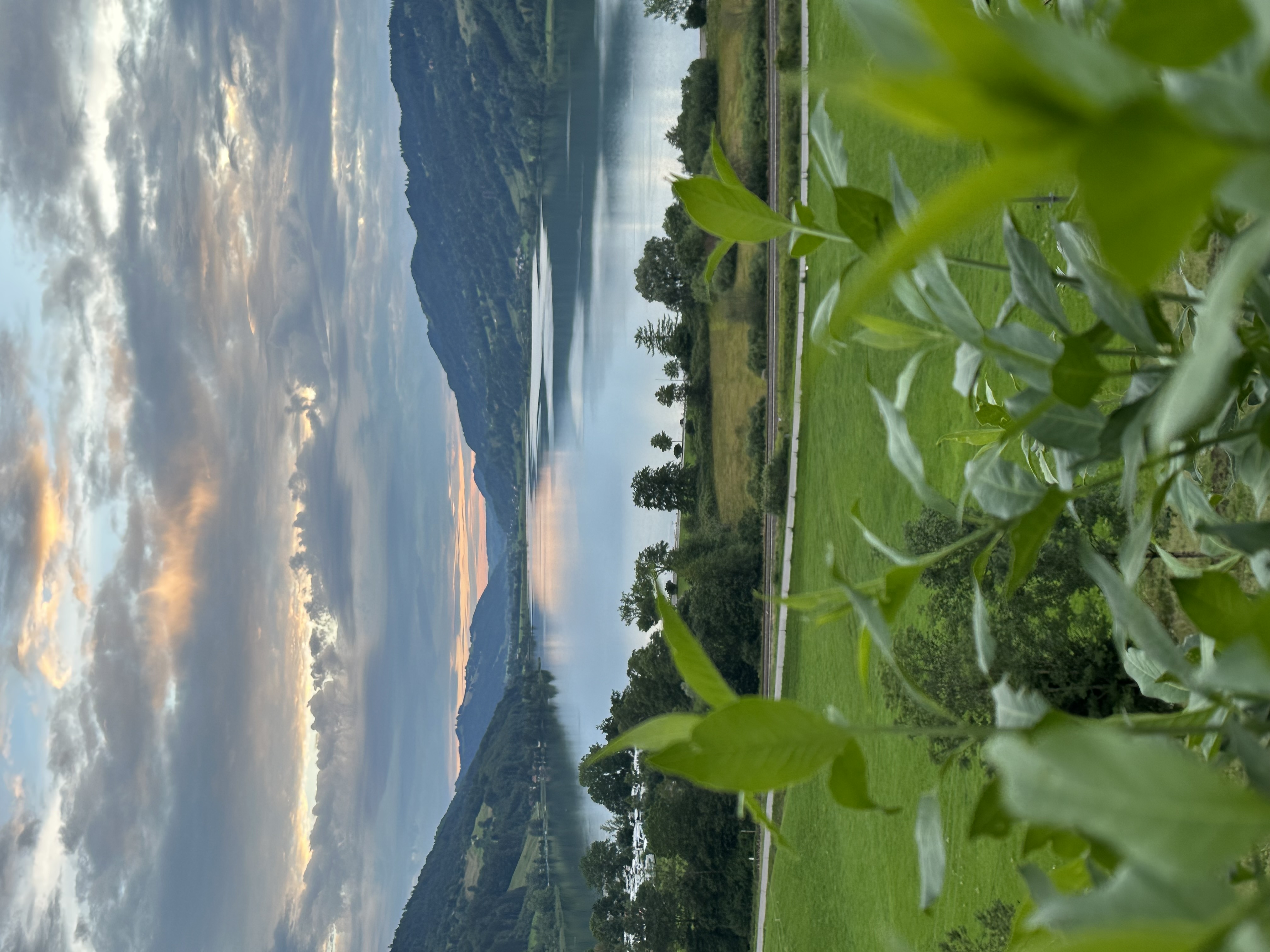 Unterkunft im Allgäu - Dein Wanderguide - geführte Wanderungen im Allgäu. Wanderungen rund um den Alpsee in Immenstadt. - Dein Wanderguide - geführte Wanderungen im Allgäu