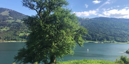 Hotels und Ferienwohnungen im Oberallgäu - Saison: ganzjährig - Bayern - Freizeitspaß am Alpsee bei Immenstadt