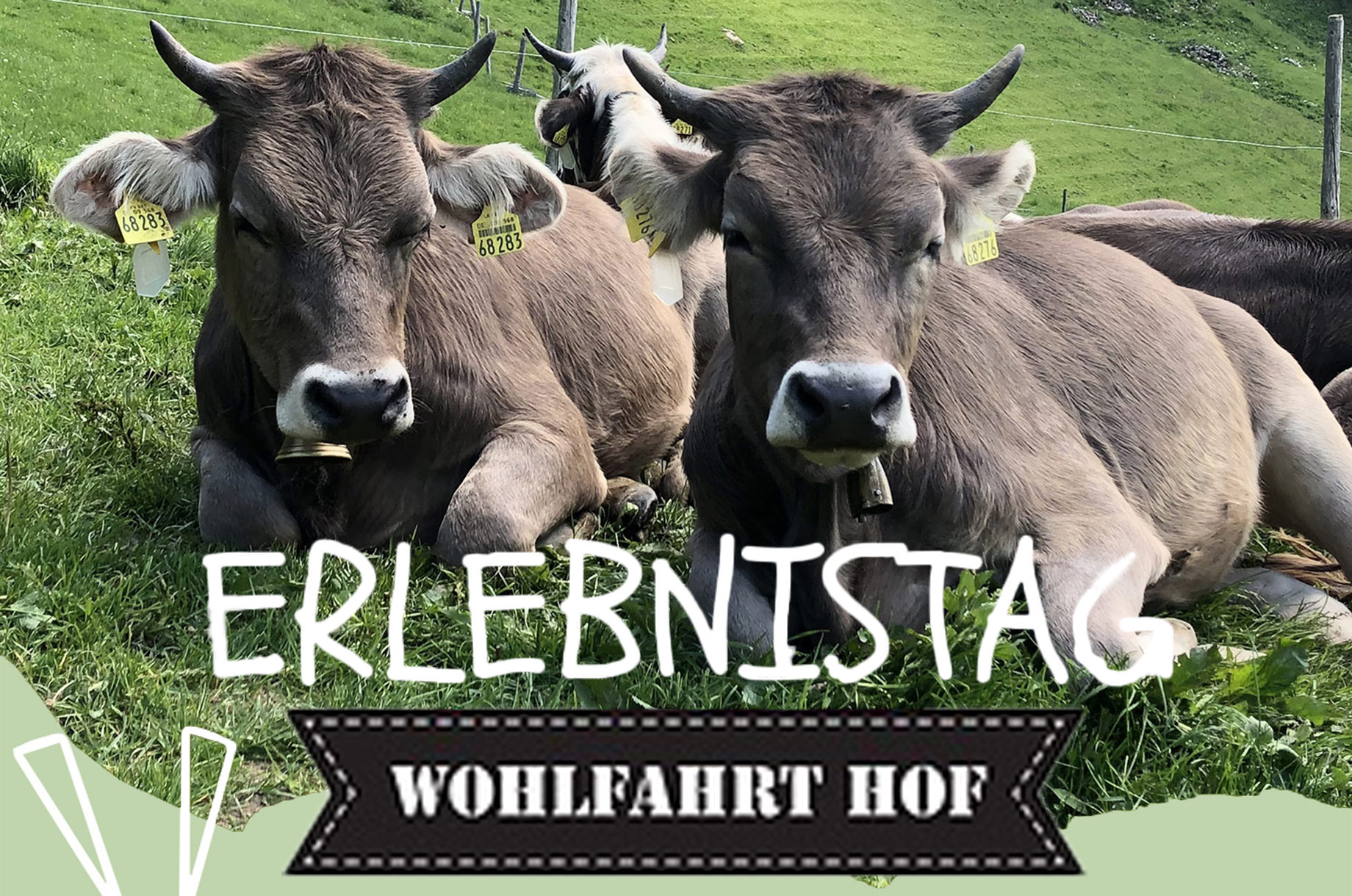 Unterkunft im Allgäu - Erlebnistag auf dem Wohlfahrthof in Rettenberg - Erlebnistag auf dem Wohlfahrthof in Rettenberg