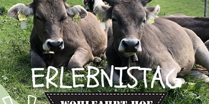 Hotels und Ferienwohnungen im Oberallgäu - Rettenberg (Landkreis Oberallgäu) - Erlebnistag auf dem Wohlfahrthof in Rettenberg - Erlebnistag auf dem Wohlfahrthof in Rettenberg