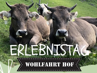 Hotels und Ferienwohnungen im Oberallgäu - Parken & Anreise: Anreise mit ÖPNV möglich - Erlebnistag auf dem Wohlfahrthof in Rettenberg - Erlebnistag auf dem Wohlfahrthof in Rettenberg