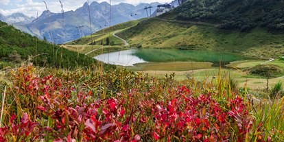 Hotels und Ferienwohnungen im Oberallgäu - Kategorien: Naturerlebnis - Deutschland - Bergbahnen im Oberallgäu - die Fellhornbahn - Fellhornbahn in Oberstdorf - Allgäu im Sommer
