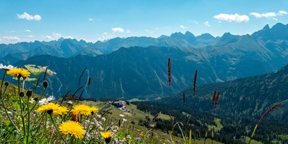 Hotels und Ferienwohnungen im Oberallgäu - Saison: Sommer - Oberstdorf - Bergbahnen im Oberallgäu - die Fellhornbahn - Fellhornbahn in Oberstdorf - Allgäu im Sommer