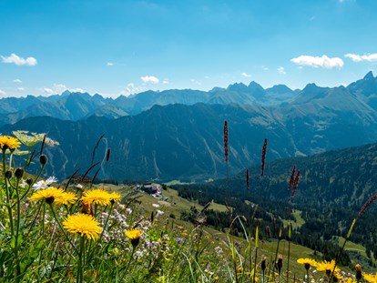 Hotels und Ferienwohnungen im Oberallgäu - Kategorien: Bergbahn - Oberallgäu - Bergbahnen im Oberallgäu - die Fellhornbahn - Fellhornbahn in Oberstdorf - Allgäu im Sommer