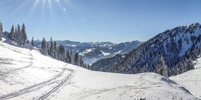 Hotels und Ferienwohnungen im Oberallgäu - Kategorien: Wanderweg - Winterparadies Mittagbahn - Rasthaus am Mittag - Winterparadies  Mittagbahn über Immenstadt im Allgäu