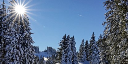 Hotels und Ferienwohnungen im Oberallgäu - Wetter: bei schönem Wetter - Immenstadt im Allgäu - Winterparadies Mittagbahn - Rasthaus am Mittag - Winterparadies  Mittagbahn über Immenstadt im Allgäu