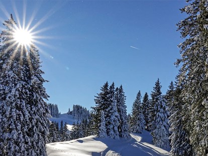 Hotels und Ferienwohnungen im Oberallgäu - Kategorien: Bergbahn - Oberallgäu - Winterparadies Mittagbahn - Rasthaus am Mittag - Winterparadies  Mittagbahn über Immenstadt im Allgäu