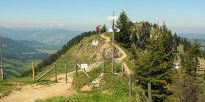 Hotels und Ferienwohnungen im Oberallgäu - Saison: ganzjährig - Hochgratbahn - Oberstaufen / Steibis