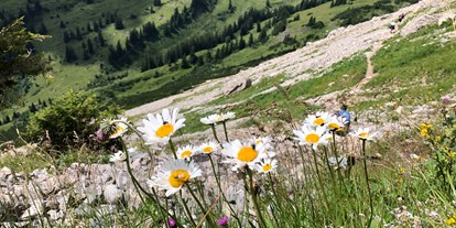 Hotels und Ferienwohnungen im Oberallgäu - Wetter: bei jedem Wetter - Kleinwalsertal - Ifen Bergbahnen im Kleinwalsertal / Allgäu - Ifen - Wanderparadies im Kleinwalsertal