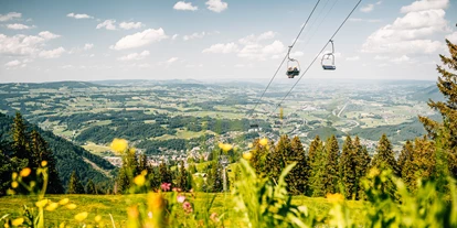Hotels und Ferienwohnungen im Oberallgäu - Kategorien: Wanderparadies - Die Mittagbahn über Immenstadt im Sommer - Die Mittagbahn über Immenstadt im Sommer