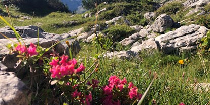 Hotels und Ferienwohnungen im Oberallgäu - Kategorien: Naturerlebnis - Bayern - Bergbahnen in Oberstdorf - mit der Nebelhornbahn ins Wanderparadies  - Nebelhornbahn - Wanderparadies in Oberstdorf im Allgäu