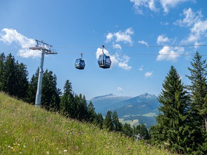 Hotels und Ferienwohnungen im Oberallgäu - Kategorien: Bergbahn - Oberallgäu - Söllereckbahn - Bergbahnen in Oberstdorf / Oberallgäu  - Die Söllereckbahn im Sommer 