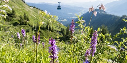 Hotels und Ferienwohnungen im Oberallgäu - Saison: Sommer - Kleinwalsertal - Walmendingerhornbahn - Bergbahn im Kleinwalsertal - Walmendingerhornbahn im Sommer