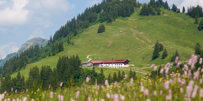 Hotels und Ferienwohnungen im Oberallgäu - Kinder & Familie: kinderwagengeeignet - Bayern - Falkenhütte