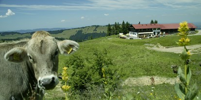 Hotels und Ferienwohnungen im Oberallgäu - Wetter: bei jedem Wetter - Bayern - Falkenhütte