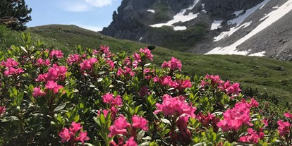 Hotels und Ferienwohnungen im Oberallgäu - Saison: Sommer - Kleinwalsertal - Fiedererpaßhütte