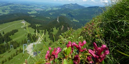 Hotels und Ferienwohnungen im Oberallgäu - Saison: ganzjährig - Oberallgäu - Grüntenhütte