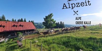 Hotels und Ferienwohnungen im Oberallgäu - Wetter: bei schönem Wetter - Bayern - Kindertag in der Alpsee Bergwelt - Kindererlebnistag in der Alpsee Bergwelt