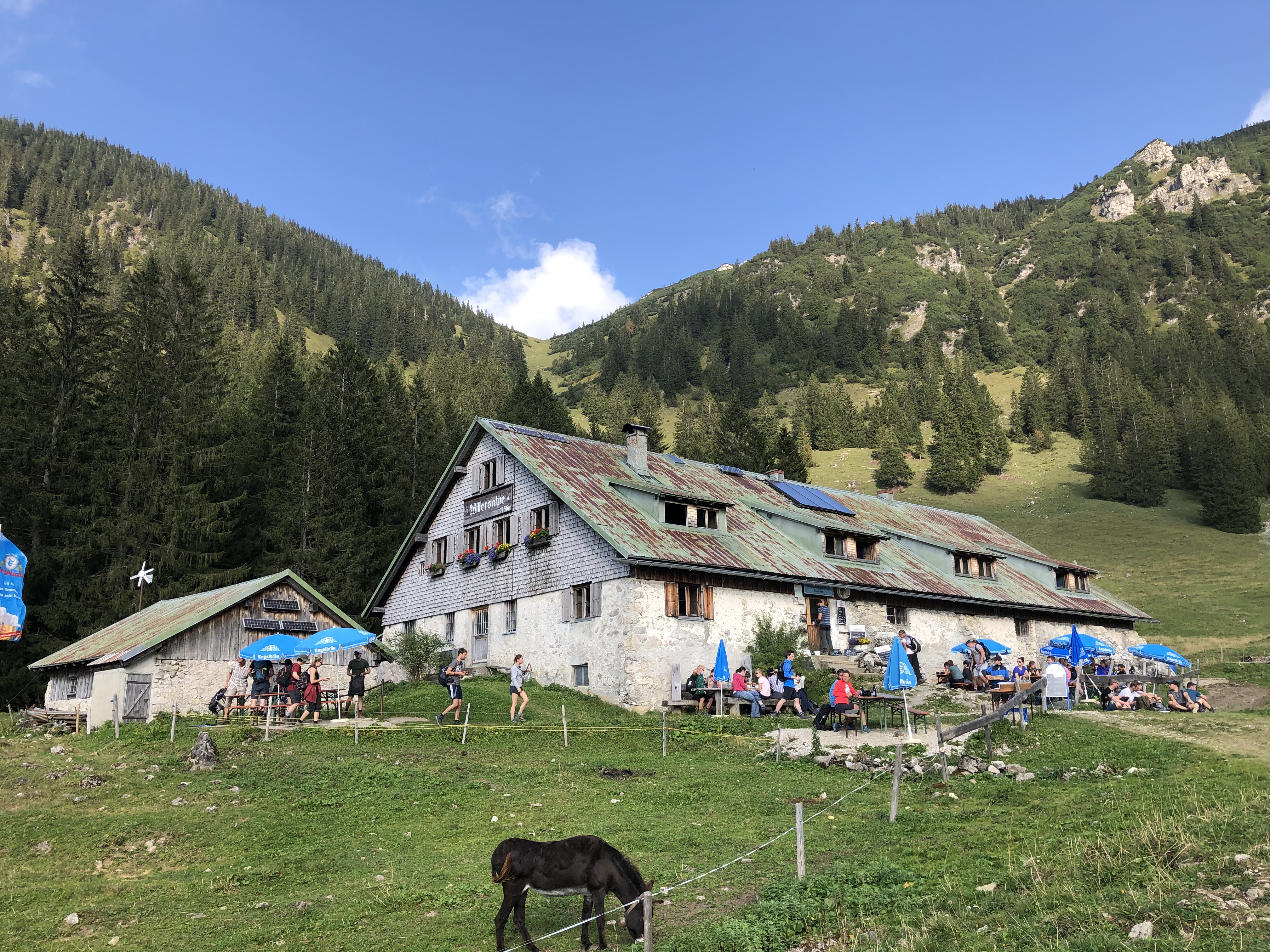Hotels und Ferienwohnungen im Oberallgäu - Willersalpe - Bad Hindelang / Hinterstein im Allgäu - Willersalpe in Bad Hindelang - Hinterstein im Allgäu
