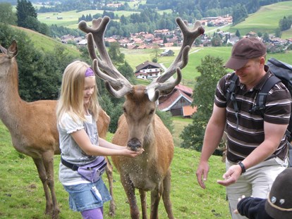 Hotels und Ferienwohnungen im Oberallgäu - Saison: ganzjährig - Oberallgäu - Wildpark in Obermaiselstein im Allgäu - Alpenwildpark in Obermaiselstein mit Shuttle-Service