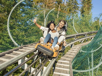 Hotels und Ferienwohnungen im Oberallgäu - Saison: ganzjährig - Oberallgäu - Alpsee Coaster zwischen Immenstadt und Oberstaufen - Alpsee Coaster in der Alpsee Bergwelt