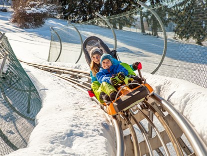 Hotels und Ferienwohnungen im Oberallgäu - Saison: Winter - Oberallgäu - Alpsee Coaster zwischen Immenstadt und Oberstaufen - Alpsee Coaster in der Alpsee Bergwelt