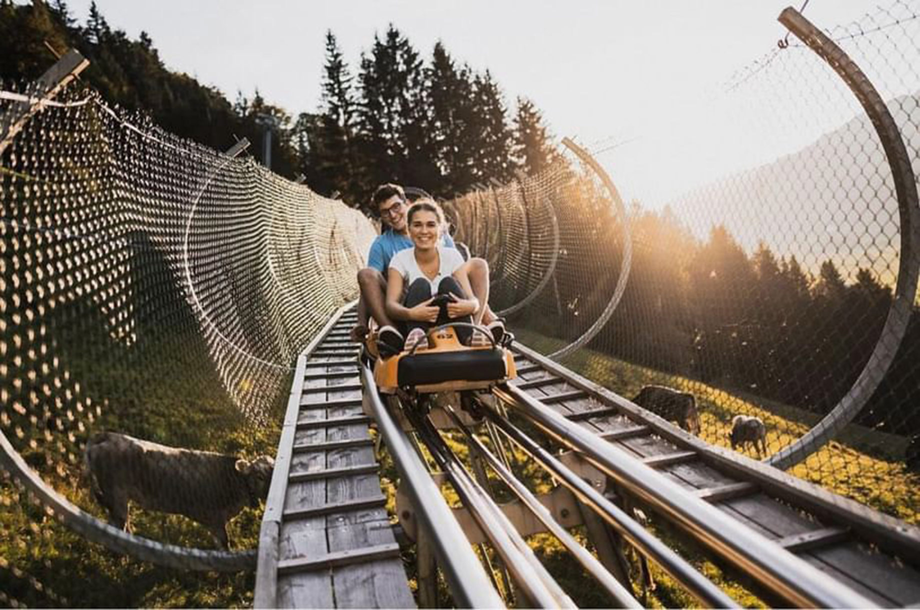 Ausflugsziele im Oberallgäu: Alpsee Coaster zwischen Immenstadt und Oberstaufen - Alpsee Coaster in der Alpsee Bergwelt im Allgäu