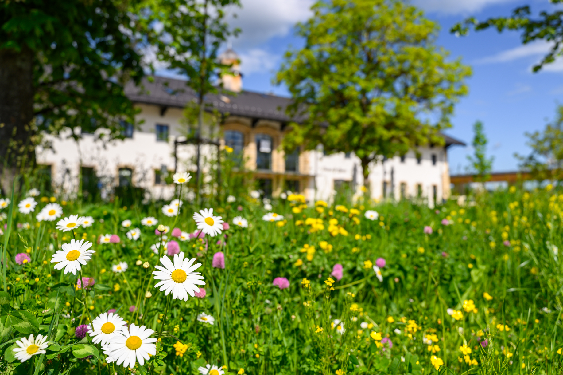 Veranstaltungskalender für das Oberallgäu: Natur in der Stadt - Projektwochenende in Sonthofen - Natur in der Stadt - Sonthofen lädt ein zum Projektwochenende