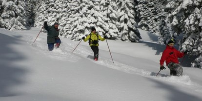 Hotels und Ferienwohnungen im Oberallgäu - Kategorien: Naturerlebnis - Bayern - women in mountains