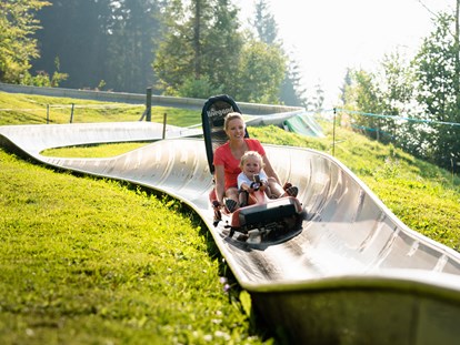 Hotels und Ferienwohnungen im Oberallgäu - Wetter: bei schönem Wetter - Oberallgäu - Sommerrodelbahn am Hündle in Oberstaufen im Allgäu - Sommerrodelbahn am Hündle in Oberstaufen im Allgäu