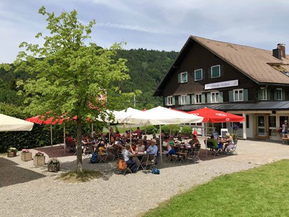 Hotels und Ferienwohnungen im Oberallgäu - Wetter: bei schönem Wetter - Oberallgäu - Sommerrodelbahn am Hündle in Oberstaufen im Allgäu - Sommerrodelbahn am Hündle in Oberstaufen im Allgäu