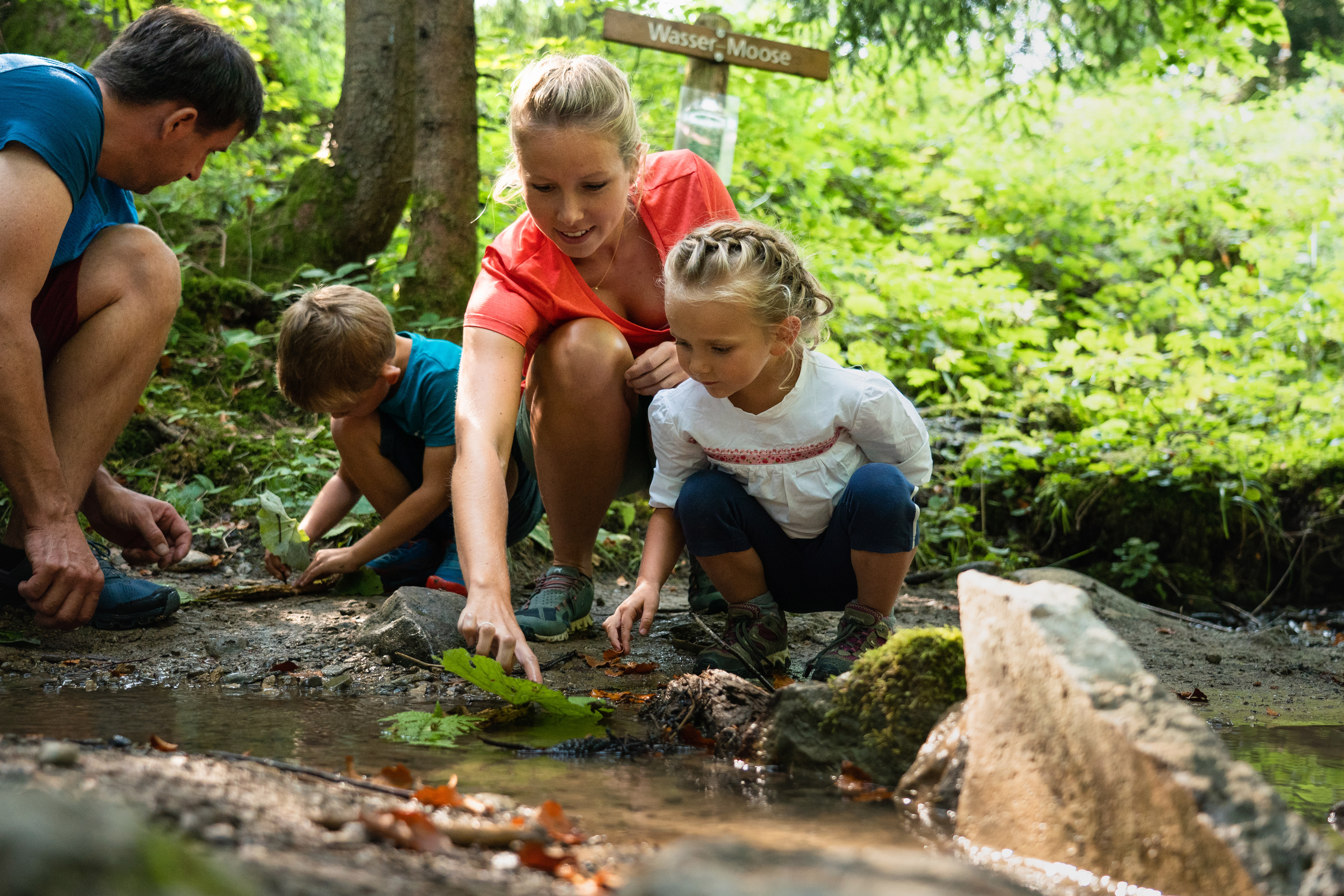Hotels und Ferienwohnungen im Oberallgäu - Erlebniswanderweg am Hündle