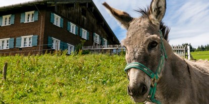 Hotels und Ferienwohnungen im Oberallgäu - Kategorien: Tierpark - Deutschland - Allgäuer Bergbauernmuseum Immenstadt - Diepolz - Allgäuer Bergbauernmuseum Immenstadt - Diepolz