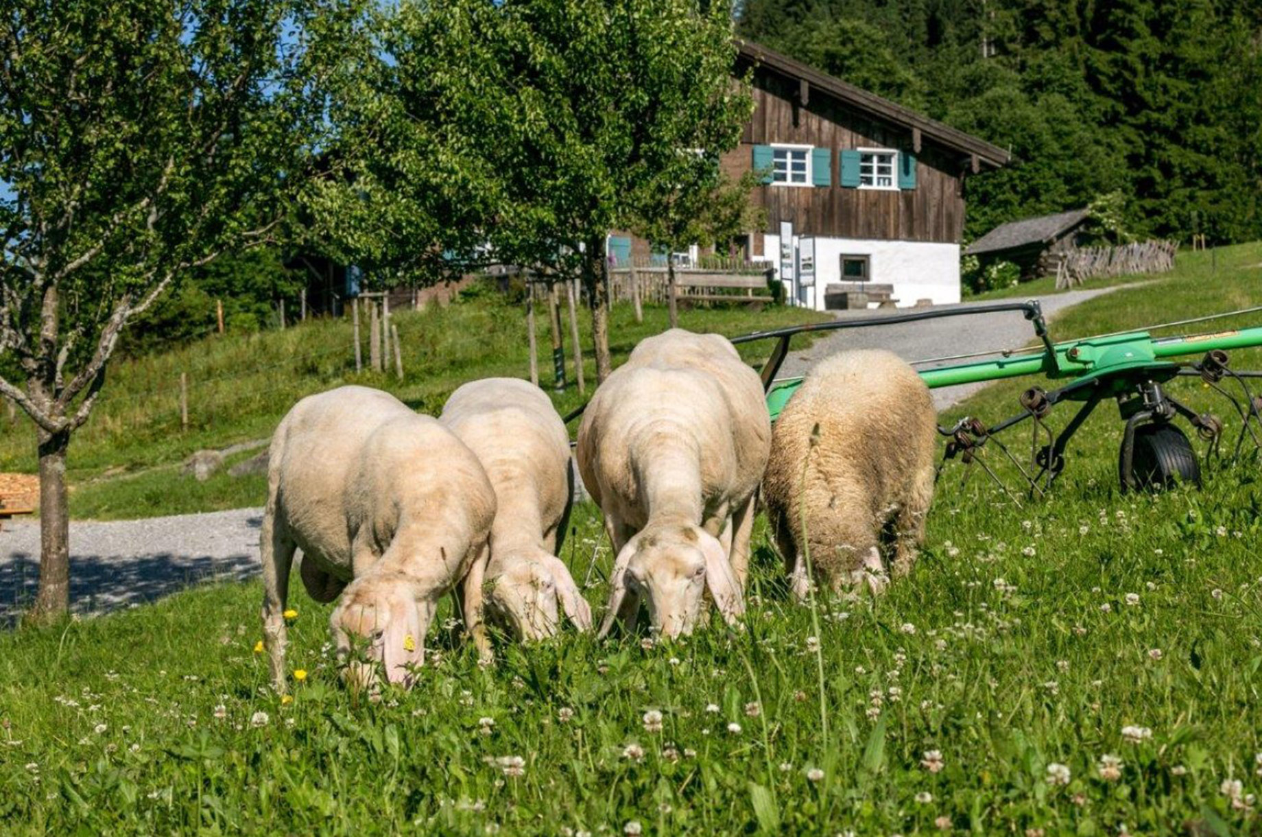 Ausflugsziele im Oberallgäu: Allgäuer Bergbauernmuseum Immenstadt - Diepolz - Allgäuer Bergbauernmuseum in Immenstadt - Diepolz