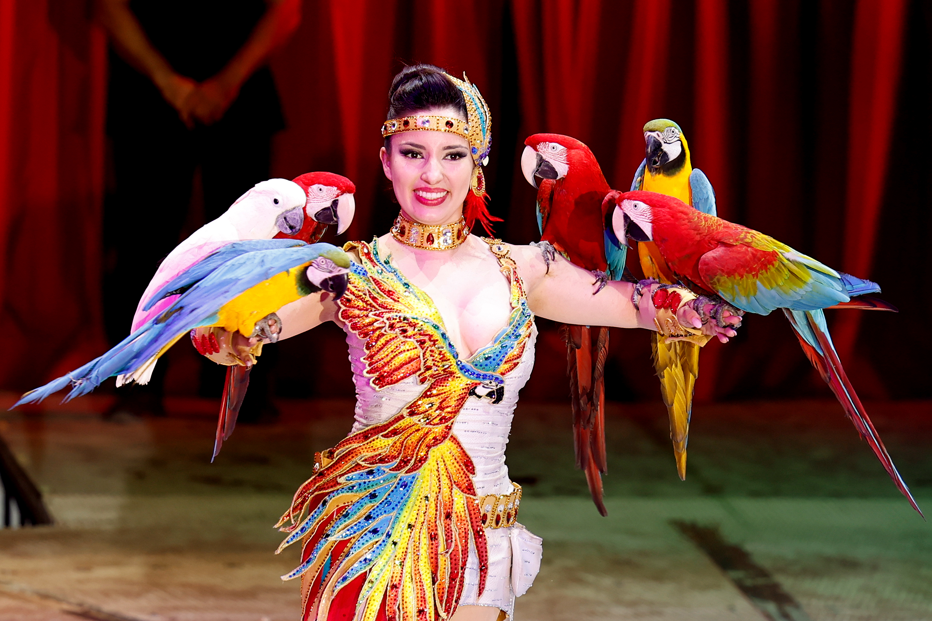 Hotels und Ferienwohnungen im Oberallgäu - Zirkus Charles Knie in Kempten im Allgäu - Zirkus Knie 2024 in Kempten im Allgäu