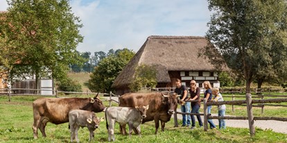 Hotels und Ferienwohnungen im Oberallgäu - Saison: Sommer - Schwäbisches Bauernhofmuseum Illerbeuren